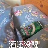 深井没有冰小姐