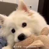 日暮里