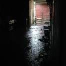 大佳看娱乐