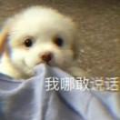 书友02568