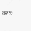 书友68528