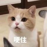 Wang~
