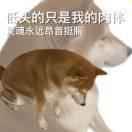 书友70382