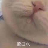 你好，陈姐姐