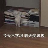 南瓜牛奶羹