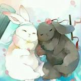 雨落倾城夏未凉