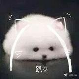 屈晓媛