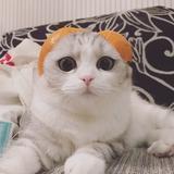 牙齿晒太阳