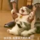 书友47465