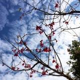 一勺梦想