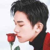 生而为人 我很抱歉