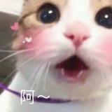 与雾yw