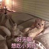 为你钟情