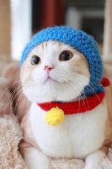 启了个_Dou