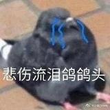 徐石三