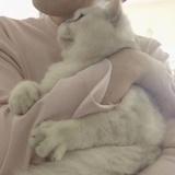 圆滚滚滚好了