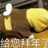 书友40166
