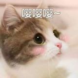 书友97912