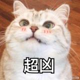 夏天