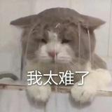 包包包包纸