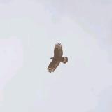 远空的眼
