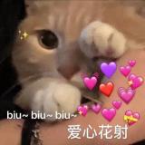 书友36319