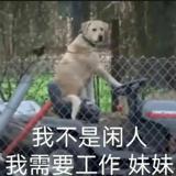 书友52378