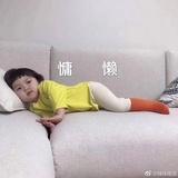 骑鱼的猫