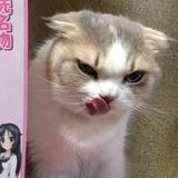 想吃炸鸡
