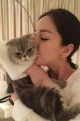 长大衣的芒果