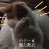 心意思君留
