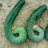 我丑到灵魂深处