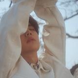 夜微凉。雨轻伤