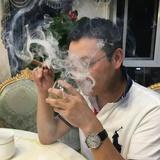 繁枝