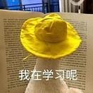 琳23333