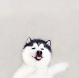 皆非