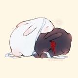 魔道最甜忘羡