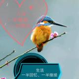 炎炎夏日