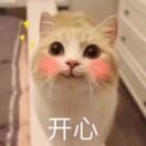 书友56940