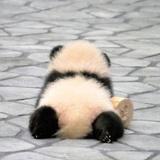 唐渊