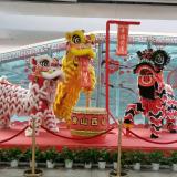 迎枫king