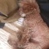 我就是愿意看小说