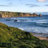 皮皮皮皮皮皮皮皮皮皮皮皮皮虾