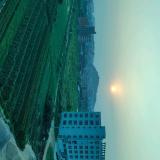 别太当真