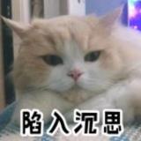  莫生气 