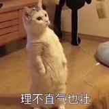 君翩跹