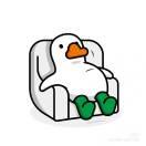 Duck fall into ponde