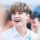 书友18206