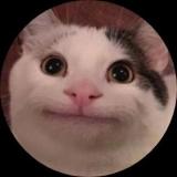 电子璐