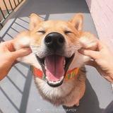 【辺伯贤】